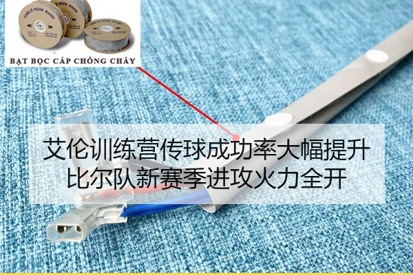 艾伦训练营传球成功率大幅提升 比尔队新赛季进攻火力全开